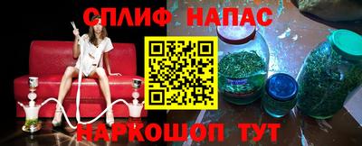 стафф Кудрово