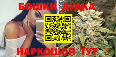 стафф Кудрово
