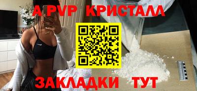 стафф Кудрово